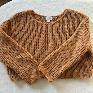 Amuse Society Sweater